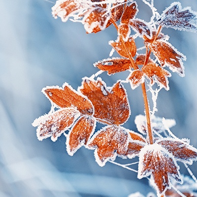 Winteraktivsauna: © Ann Stryzhekin/Adobe stock